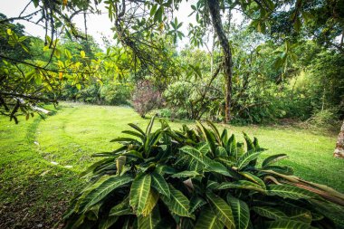 Ulun Danu Beratan Ubud, Endonezya 'da, 