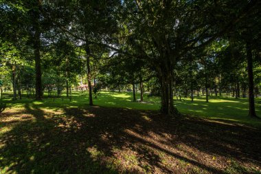 Ulun Danu Beratan Tapınağı, Endonezya 