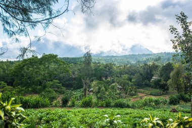 Ulun Danu Beratan Ubud, Endonezya 'da, 