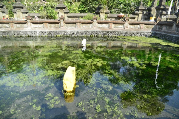 Teich Mit Fischen Tempel Tirta Empul Indonesien — Stockfoto