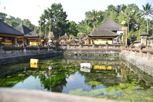 Lagoa Com Peixes Tirta Empul Temple Indonésia — Fotografia de Stock
