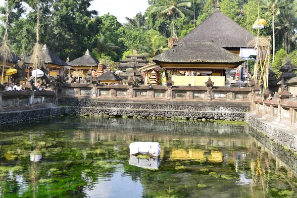 Λίμνη Ψάρια Στο Tirta Empul Temple Ινδονησία — Φωτογραφία Αρχείου