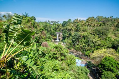 Ubud, Endonezya 'da Tegenungan Şelalesi 