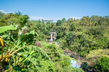 Ubud, Endonezya 'da Tegenungan Şelalesi 