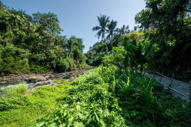Ubud, Endonezya 'da Tegenungan Şelalesi 