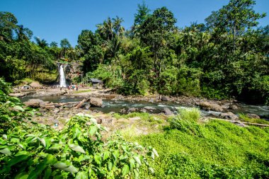 Ubud, Endonezya 'da Tegenungan Şelalesi 