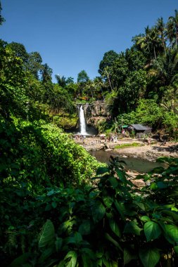 Ubud, Endonezya 'da Tegenungan Şelalesi 