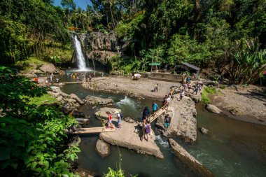 Ubud, Endonezya 'da Tegenungan Şelalesi 