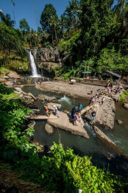 Ubud, Endonezya 'da Tegenungan Şelalesi 