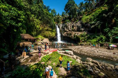 Ubud, Endonezya 'da Tegenungan Şelalesi 