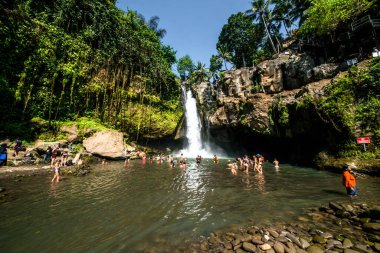 Ubud, Endonezya 'da Tegenungan Şelalesi 