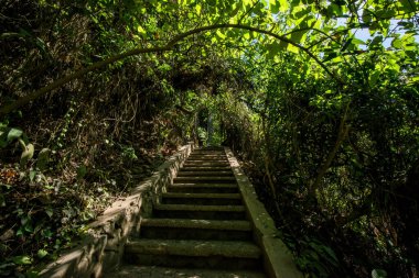 Ubud, Endonezya 'da Tegenungan Şelalesi 