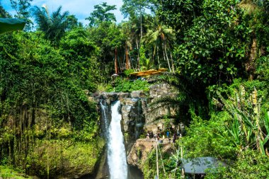Ubud, Endonezya 'da Tegenungan Şelalesi 