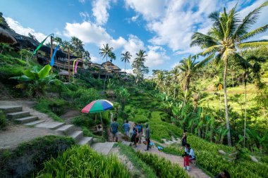 Ubud, Endonezya 'da Tegalalang Rice Terrace  