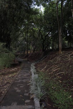 Tapınak bölgesi Taman Ayun, Endonezya 