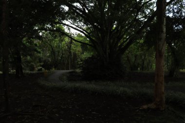 Tapınak bölgesi Taman Ayun, Endonezya 