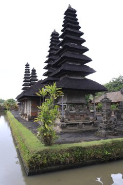 Ubud, Endonezya 'daki Taman Ayun Tapınağı 