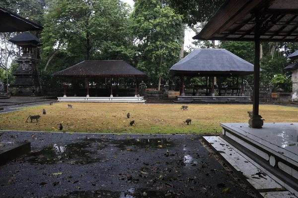 Temple Taman Ayun Ubud Indonésie — Photo