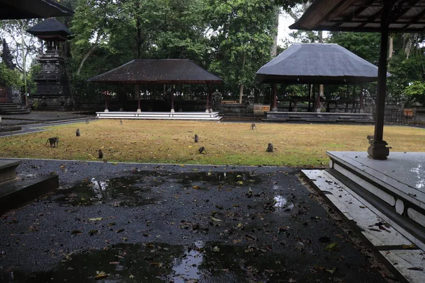 Ναός Taman Ayun Στο Ubud Ινδονησία — Φωτογραφία Αρχείου