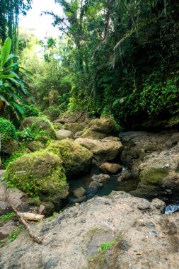 Endonezya, Ubud 'daki Sumunpan Şelalesi 