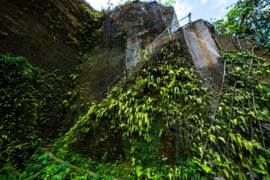Endonezya, Ubud 'daki Sumunpan Şelalesi 