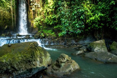 Endonezya, Ubud 'daki Sumunpan Şelalesi 