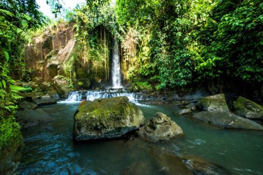 Endonezya, Ubud 'daki Sumunpan Şelalesi 