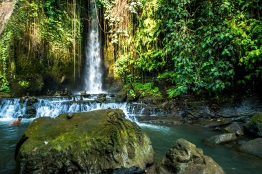 Endonezya, Ubud 'daki Sumunpan Şelalesi 