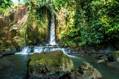 Endonezya, Ubud 'daki Sumunpan Şelalesi 