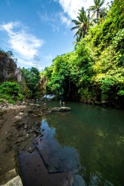 Endonezya, Ubud 'daki Sumunpan Şelalesi 