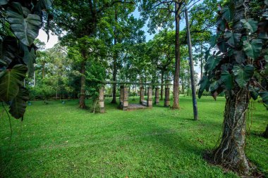 Dempsar, Endonezya 'daki Botanik Bahçesi 