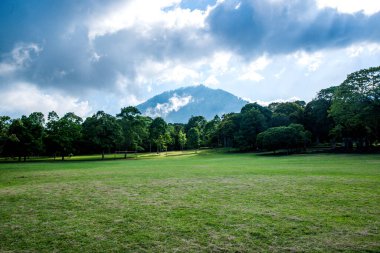 Dempsar, Endonezya 'daki Botanik Bahçesi 
