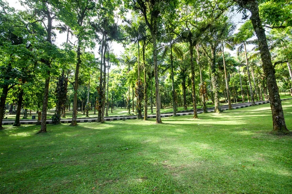 Jardim Botânico Dempsar Indonésia — Fotografia de Stock