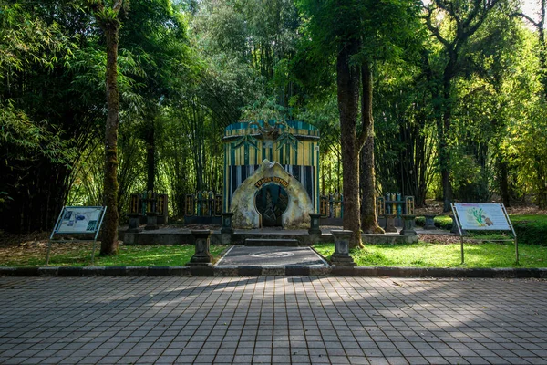 Jardín Botánico Dempsar Indonesia —  Fotos de Stock