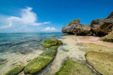 Endonezya 'daki Padang Padang plajı 