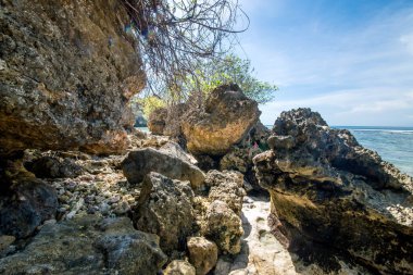 Padang Padang Plajı, Endonezya