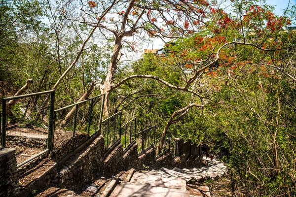 Dempasar Endonezya Daki Uluwatu Sahili — Stok fotoğraf