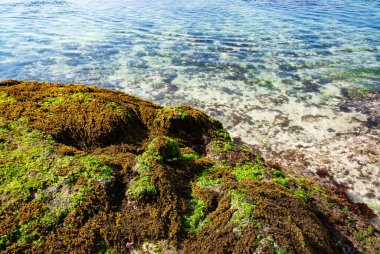 Endonezya 'daki Padang Padang plajı 