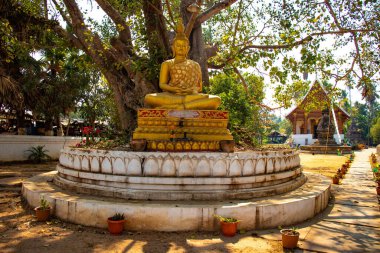 Laos 'taki Budist tapınağı mimarisi