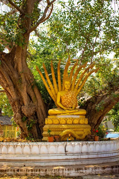 Architecture Temple Bouddhiste Laos — Photo