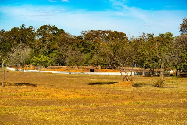 Zoológico Durante Día Brasilia Brasil —  Fotos de Stock