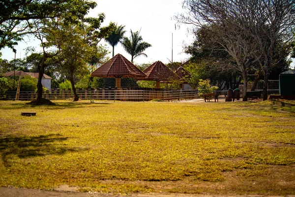 Dierentuin Overdag Brasilia Brazilië — Stockfoto