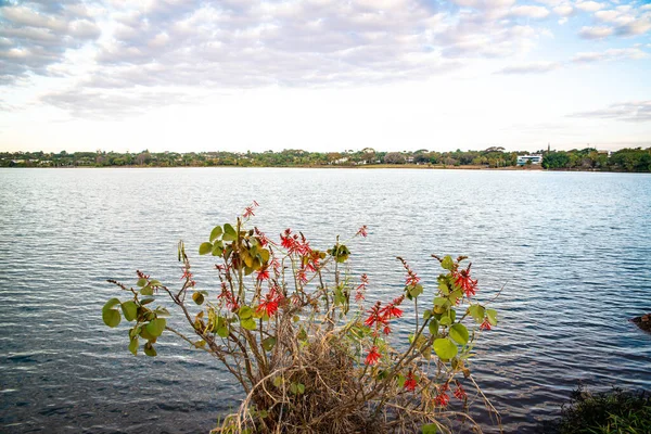 Severní Jezero Brazílie Brazílie — Stock fotografie