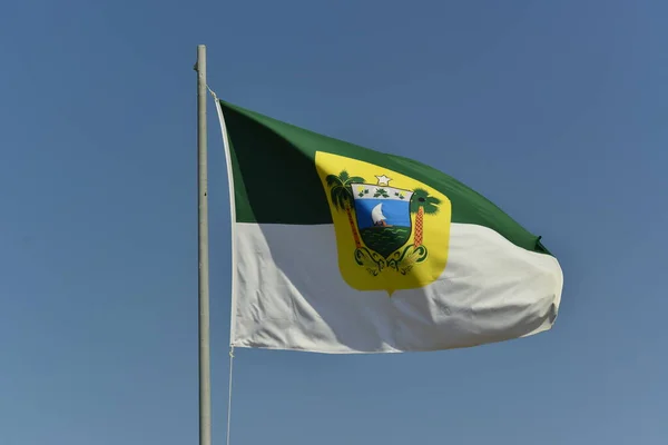 Зображення Бразильського Державного Прапора — стокове фото
