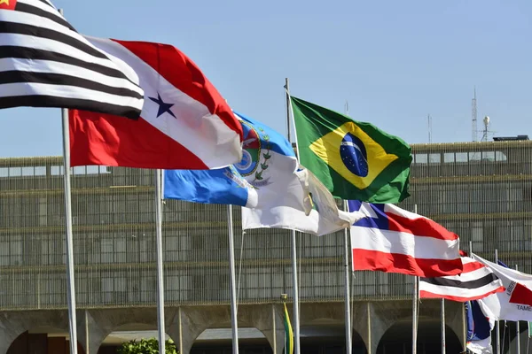 Close Image Brazilian State Flag — Stock Photo, Image