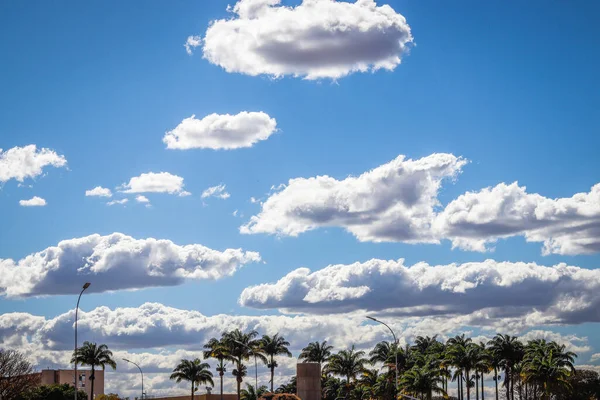 Brasilia şehir manzarası gündüz, Brezilya 