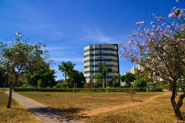 Brasília Cidade Durante Dia Brasil — Fotografia de Stock