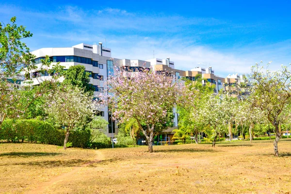 Brasilia Ciudad Día Brasil —  Fotos de Stock