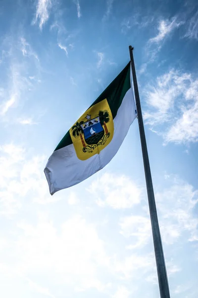Bandiere Stato Brasiliane Vicino — Foto Stock
