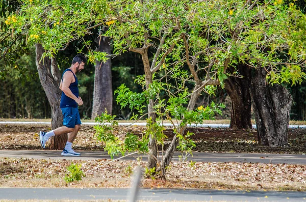 Lidé Kteří Sportují Odpočívají Městském Parku Brazílie — Stock fotografie